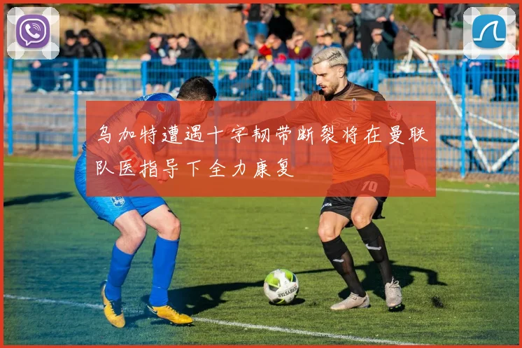 乌加特遭遇十字韧带断裂将在曼联队医指导下全力康复