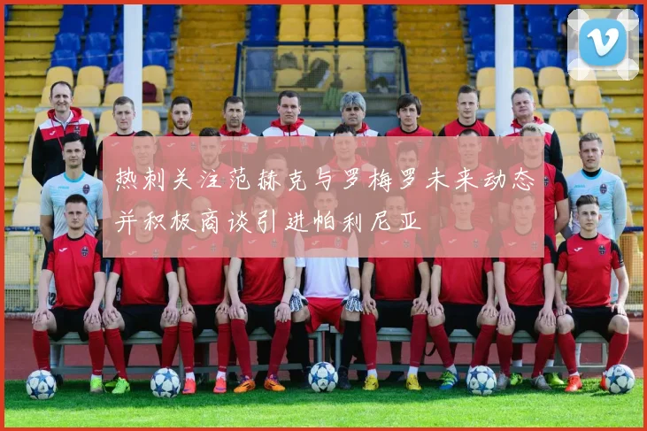 热刺关注范赫克与罗梅罗未来动态并积极商谈引进帕利尼亚